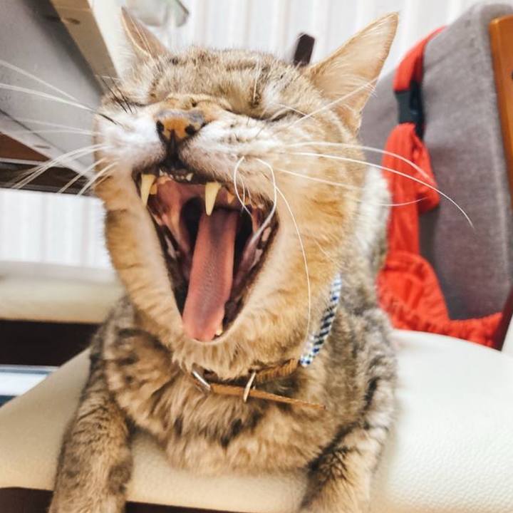 D41614e1 91c8 4055 8279 bcf79a27d23b 1737771682404