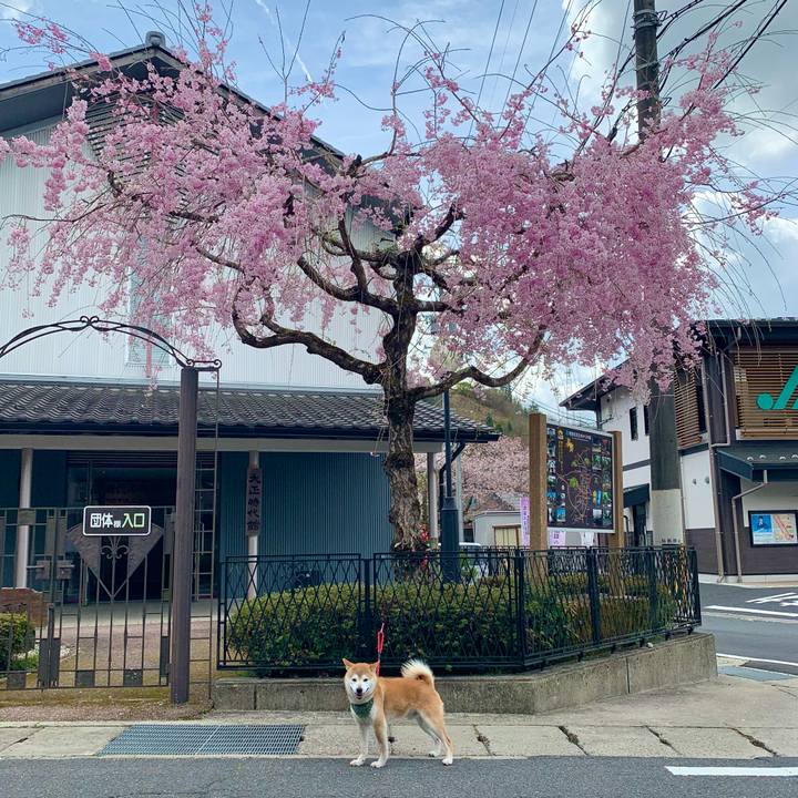 D4164400 3286 4028 aa47 22666e7120d3 1649845300167