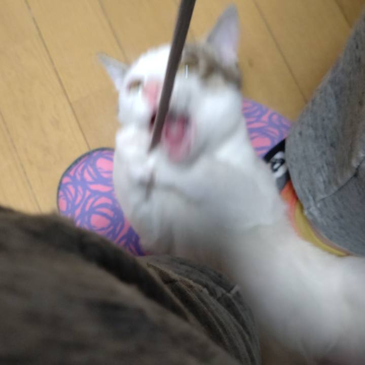 D416807e 8dea 4663 948b 59d9b6e91d01 1640846101154