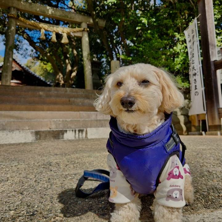 D416b1ab d7dc 46d1 af04 99ed4823fc9f 1771302050047