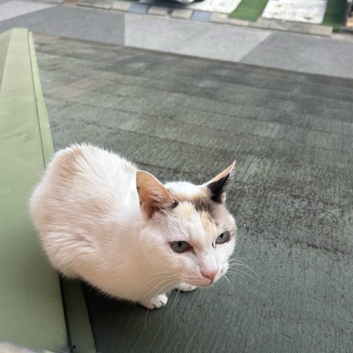 D416beba 99f2 4034 b485 91ba21e05451 1760436179548