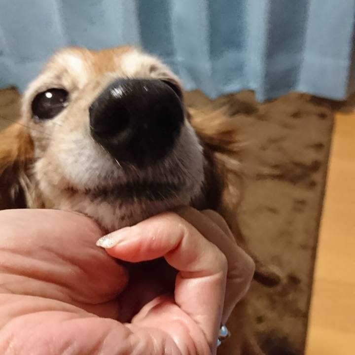 D416bf15 82c8 4847 9a2f 1c52599313f4 1516528918714