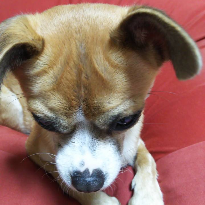 D416e1c8 e864 44f0 a3d4 5896cf23b835 1508102166745