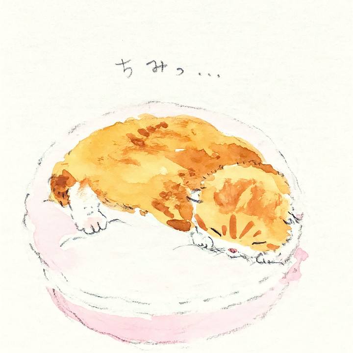 D416e343 b466 4cfa ad7c 10a95b852683 1652691254926