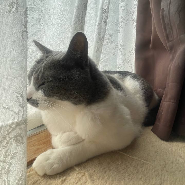 D416ef1d 462a 4a4d 9e15 315bac2d562b 1678256952613