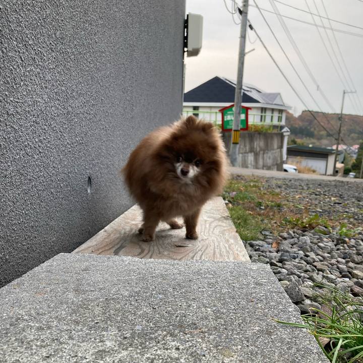 D417135b 40a0 4bb0 9e6f 7601d85852b5 1730496670343