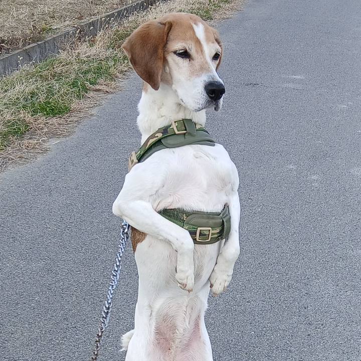 D417264d 3f51 409f 8a26 bc0167444b5b 1768040433465