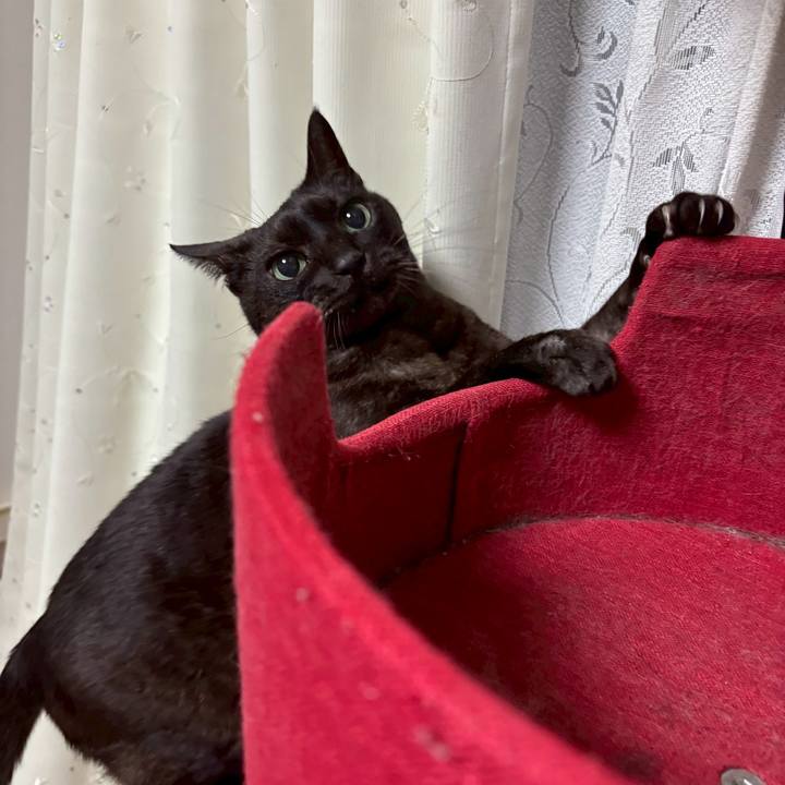 D4173ac2 aa92 414a 9246 26f24be11db6 1767065805518