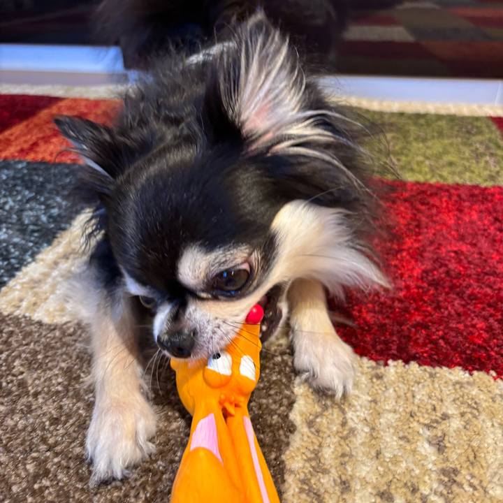 D41795f1 eaea 4397 9548 ff468270c213 1750526267113