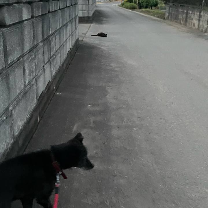 D41796eb 74c5 4a30 8d80 69146da1be17 1685441189650