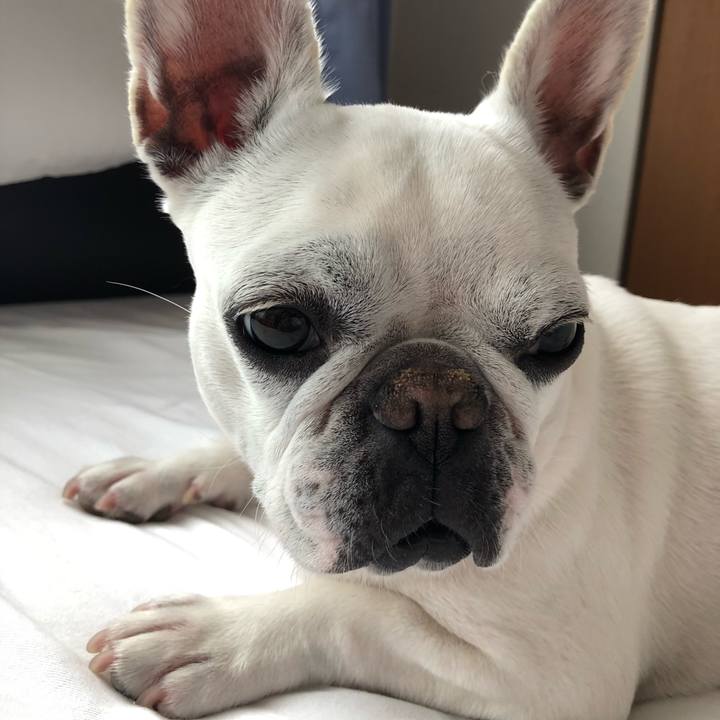 D417b231 973e 40ce 8a84 475dc639b054 1588673390610