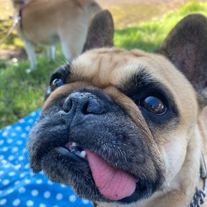 D417f1da 7b7c 497c b7da 08c7f7153cba 1667577609847