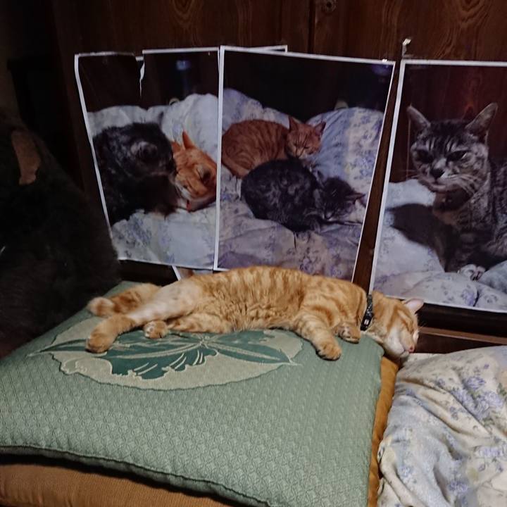 D4183eb6 70c3 4492 b516 5b5155023a03 1657541270579