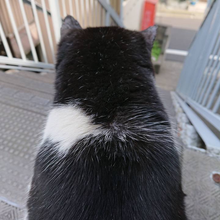 D4184229 30a6 48c0 904c ff221540162d 1557646082087