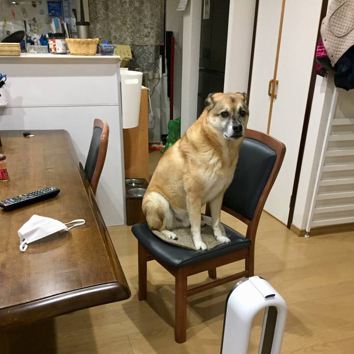 D4186b59 c1dd 47aa a320 a301082a915e 1542711548665