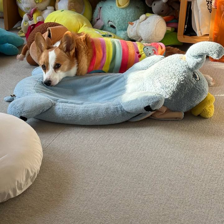 D4188d20 07a7 4363 bad4 35e02204b1d7 1773126115261