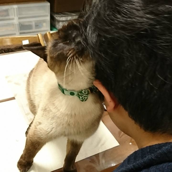 D4188fd8 52ee 408c 90ea 690b2d3425d4 1519429121543