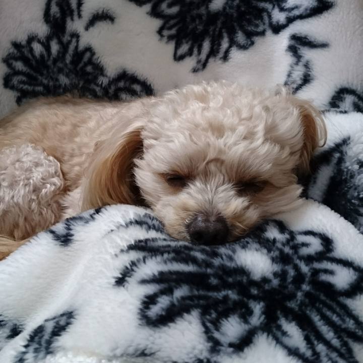 D41899a0 a2f4 463d afd2 9aada71613a6 1550297984202