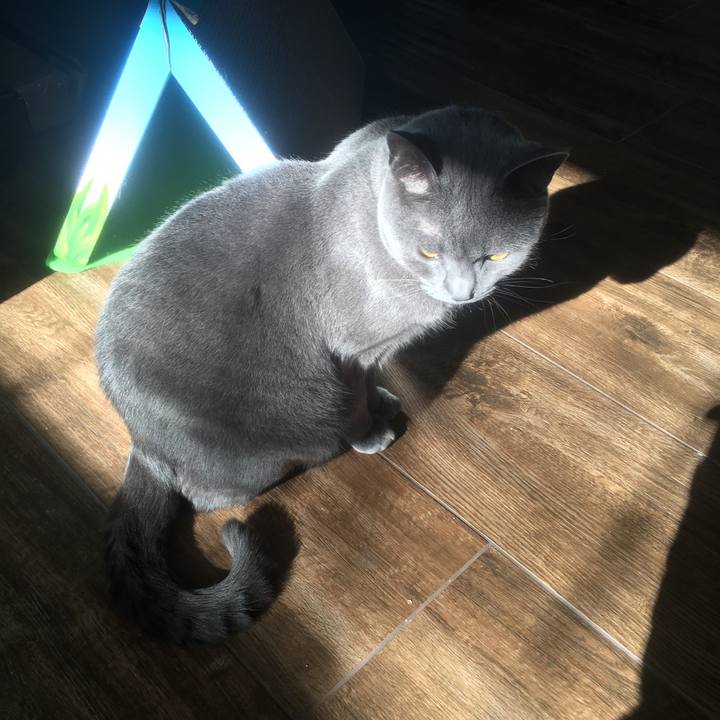 D418cac9 a902 49f3 bd1e f29ed6931a9b 1645500253284