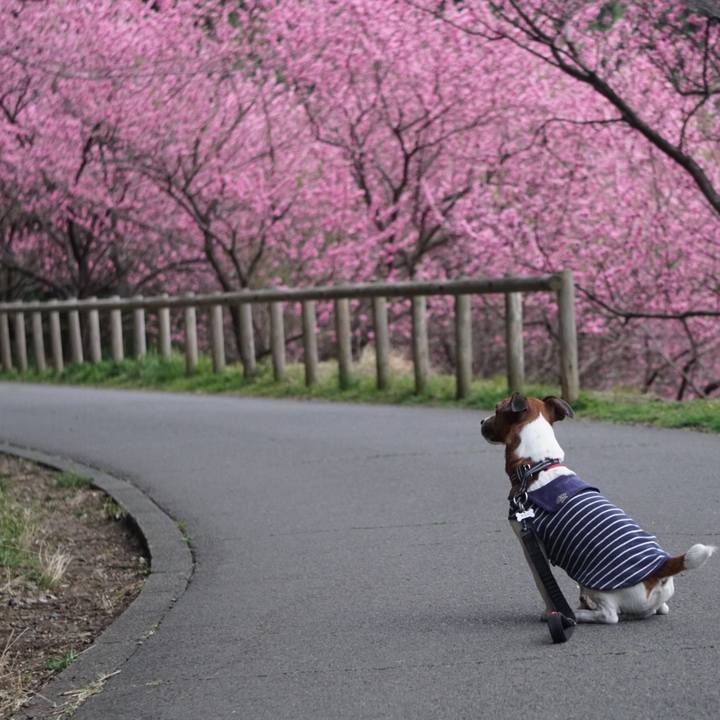 D418f464 bb5b 4f5c 81bf 8d4cc5a48420 1552949905308