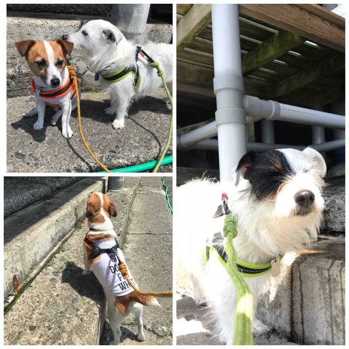 D41909ca d4d0 429e 9644 085e914cac33 1525083615110