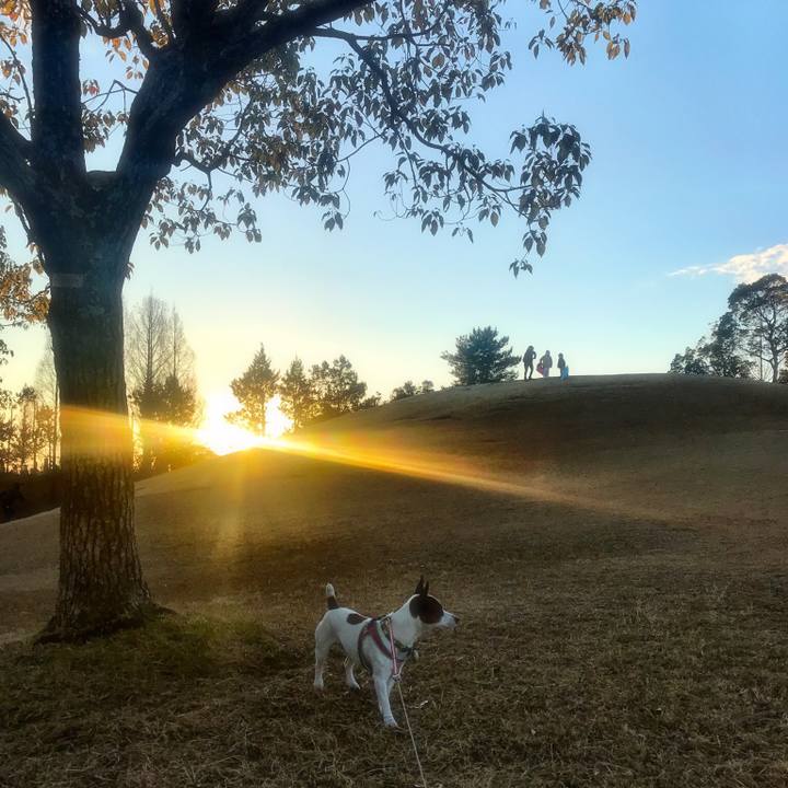 D4195c9a c890 4b5e 89db a6be467debf3 1515243115412