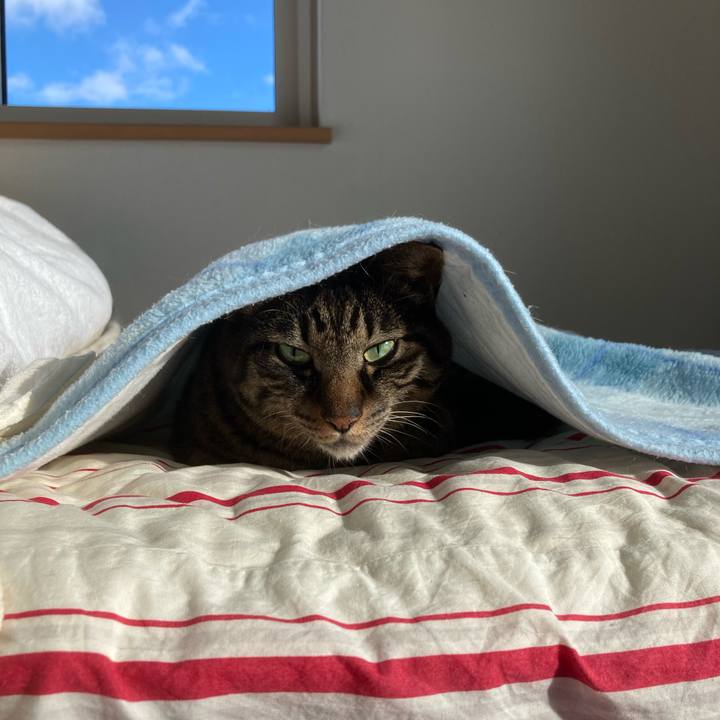 D419aee6 be0f 4e6b bb5b 5b95edee65a8 1715961627708