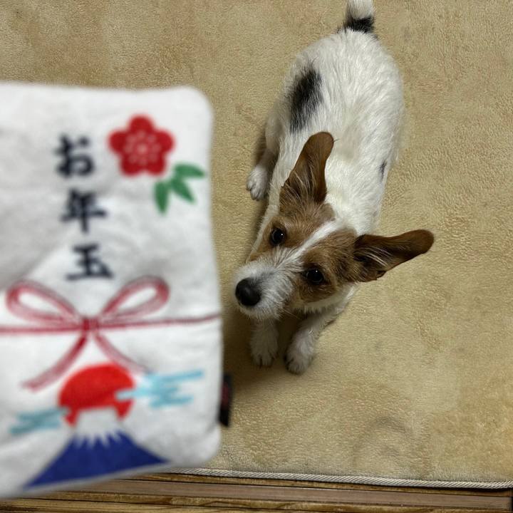 D419ea1f 9119 4bad 94c5 4824b4fff61d 1767513677821