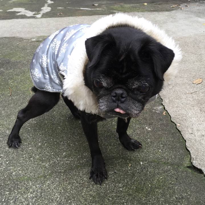 D41a0d1d 7c49 412d 93a8 e396827d7632 1544354753063