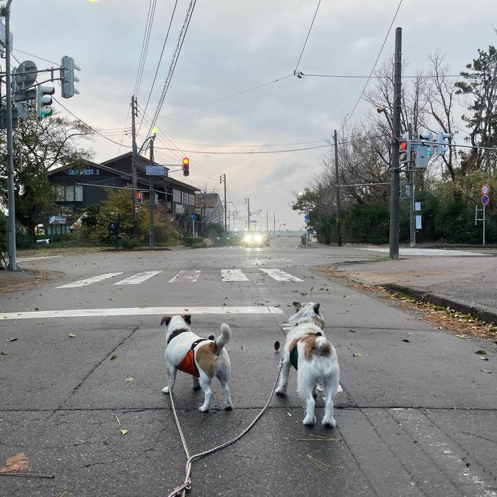 D41a0e07 75c4 4239 8fd1 773dc4718971 1700781177678