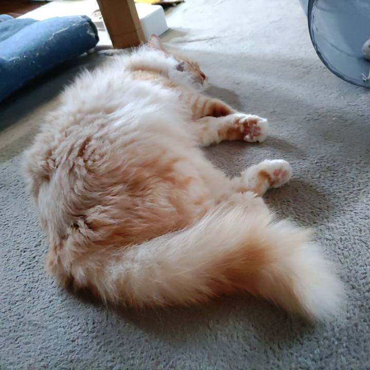 D41a2313 84e7 454c 98f2 549389541cc2 1718411548478