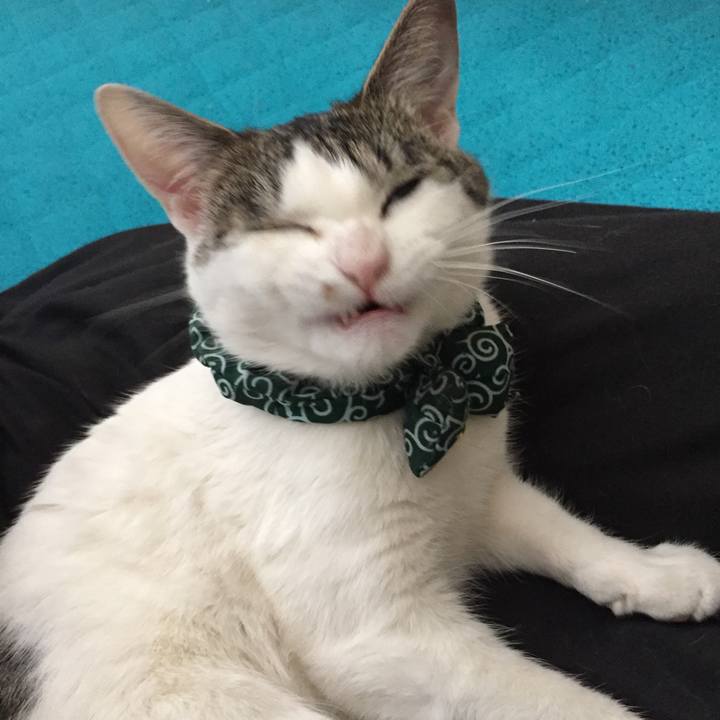 D41a34f0 f4bc 4a09 8040 e1365cfce6eb 1524281350173