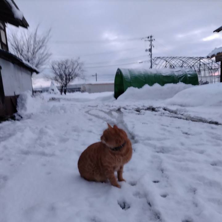 D41a685d 2db4 40b9 accd 0bd1d60e2df8 1671577536476