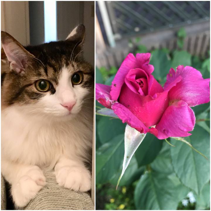 D41a7607 4228 4b22 a83e 3325b5bab73a 1525242811400