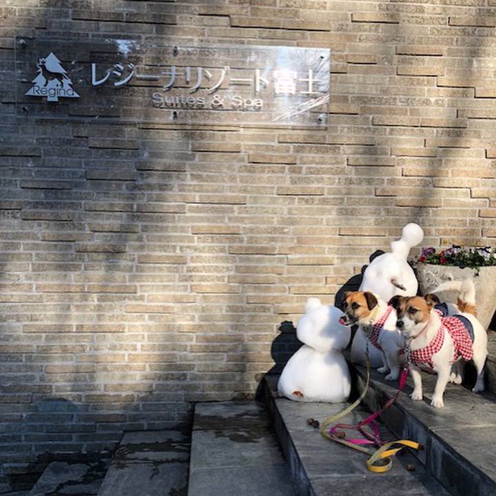 D41a8419 2983 4980 ad27 d1a456723afa 1555204805526