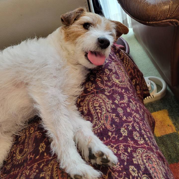 D41a84cc 5587 4572 879d 613cd43938c9 1709015838773