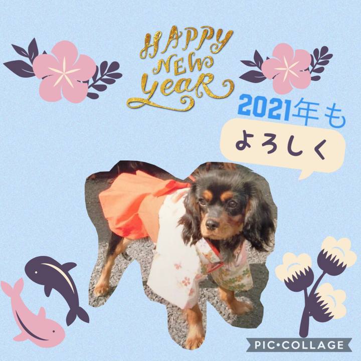 D41a8a75 8bbb 4922 ace5 ec96ff58d383 1609427986589