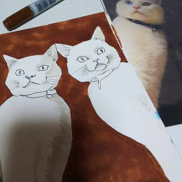 D41a9211 87fe 4e2d 9998 a67e028fe3f1 1538226961635