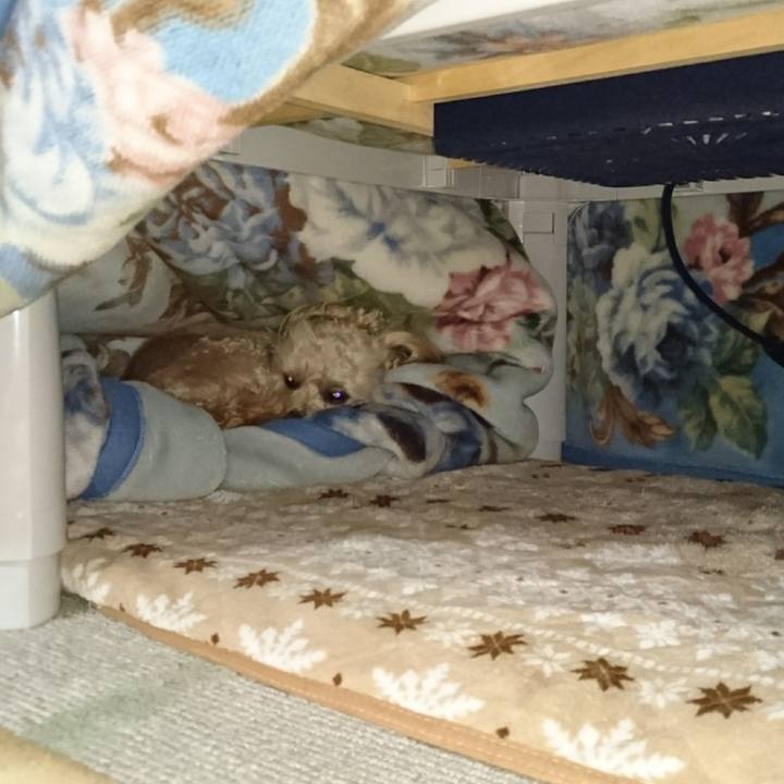 D41ad1c3 0421 4037 a135 b128a4f67a78 1519167032157