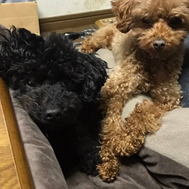 D41ad55d 69b9 4043 a679 cf6ae62adf8e 1549693095853