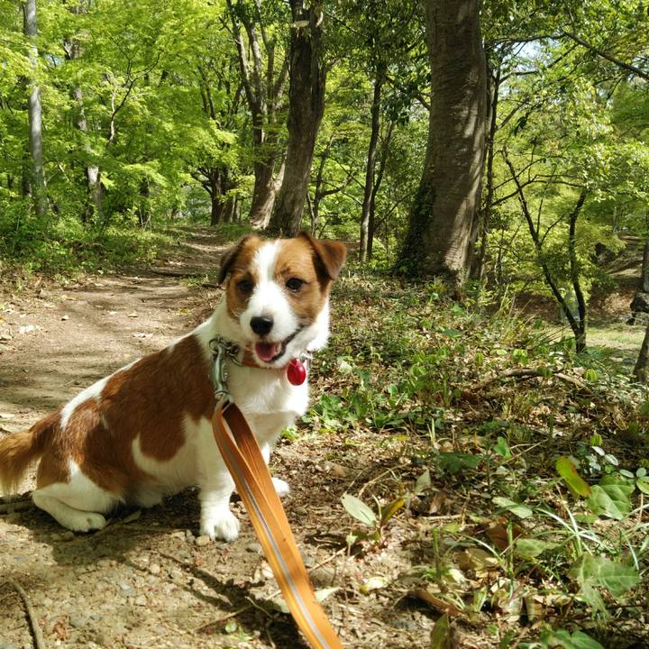 D41aef35 c35d 4be7 b4e7 765c0e31d995 1525043021654