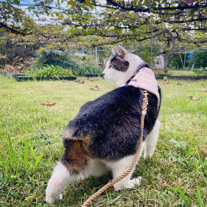 D41af04e 4201 4170 9bdf 59996ab8c4bb 1603893103428