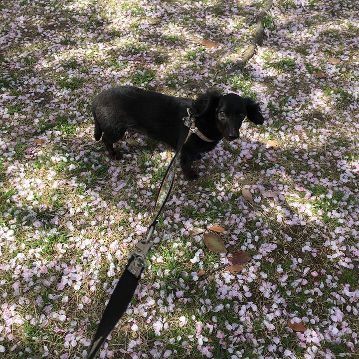 D41af372 106e 4eef 9da0 35dfab5d6551 1648427132844