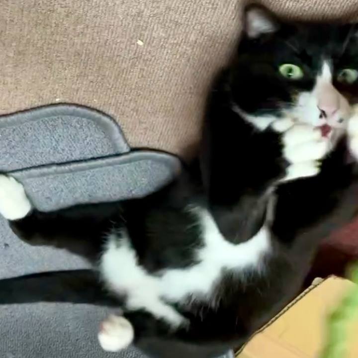 D41b5a1a 2215 4324 aa83 981620658703 1729999591896