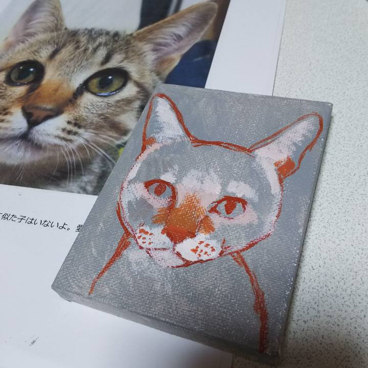 D41ba2e6 372a 4c50 bf11 c4970c1b80a6 1549861248431