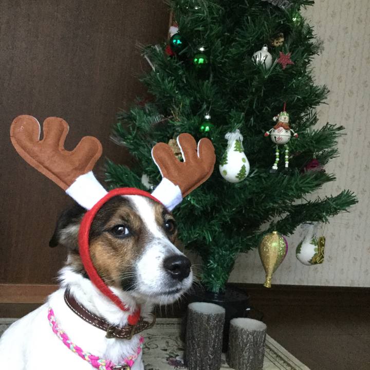 D41bb76b ff5c 4a14 b7f3 01ab244a7b7a 1514001009081