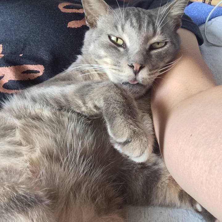 D41bcd11 3505 4606 a8c6 14534279869e 1569919078963