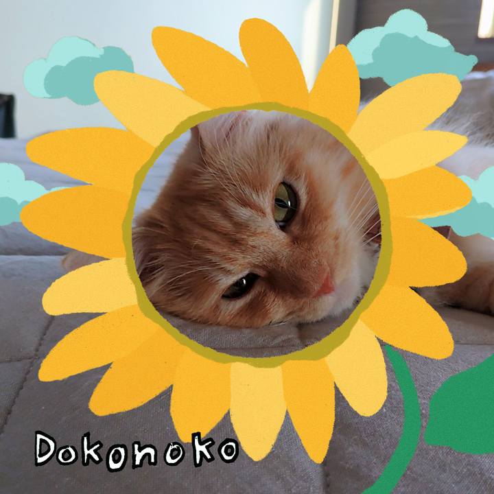 D41bf025 89df 4688 bee4 fa3e2003c1c0 1723509546964