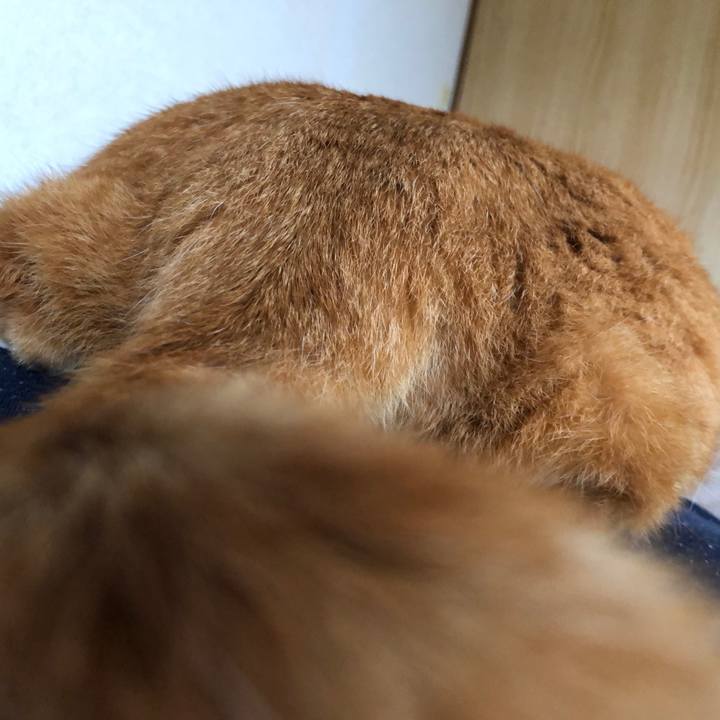 D41c12f6 9adf 423d b40a 4e42d7eb0ed7 1718408697835