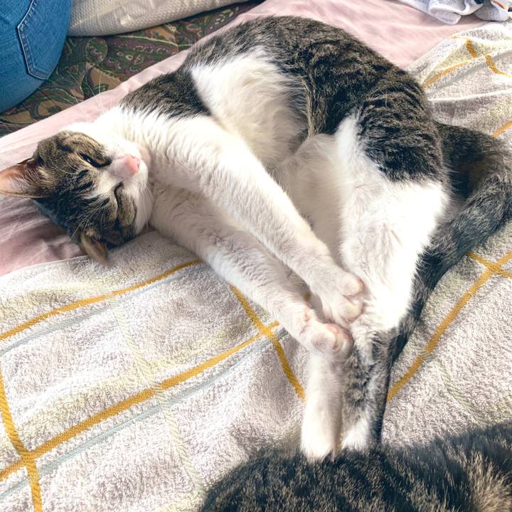 D41c1464 594f 410f 9221 0c8277a3a3e2 1562742199201